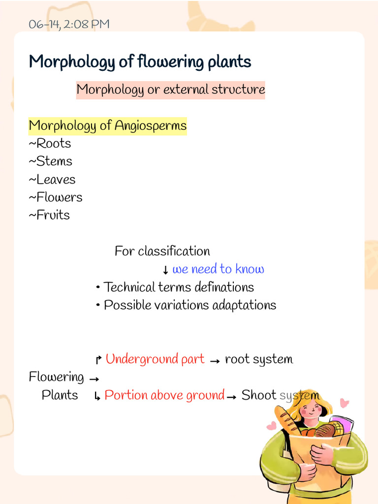 Morphology of flowering plants Notes PDF Leaf Seed