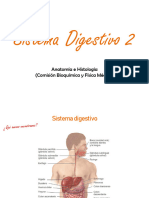 2022 13 Sistema Digestivo2