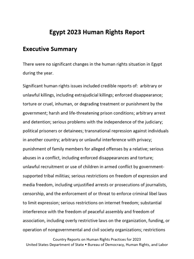 Egypt 2023 Human Rights Overview | PDF | Prison | Detention (Imprisonment)