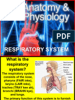 172 Anatomy Resp System