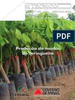 BT 102 – Produção de mudas de seringueira - EPAMIG - 2013