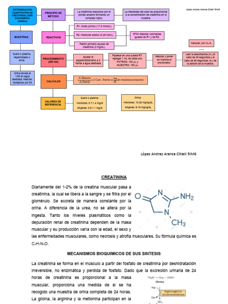 Determinación de Creatinina en Suero | PDF | Medicamentos con receta ...