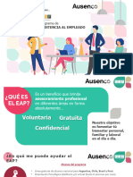 Ausenco - Programa EAP