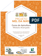 apostila_mel_da_mata_modulo_avancado