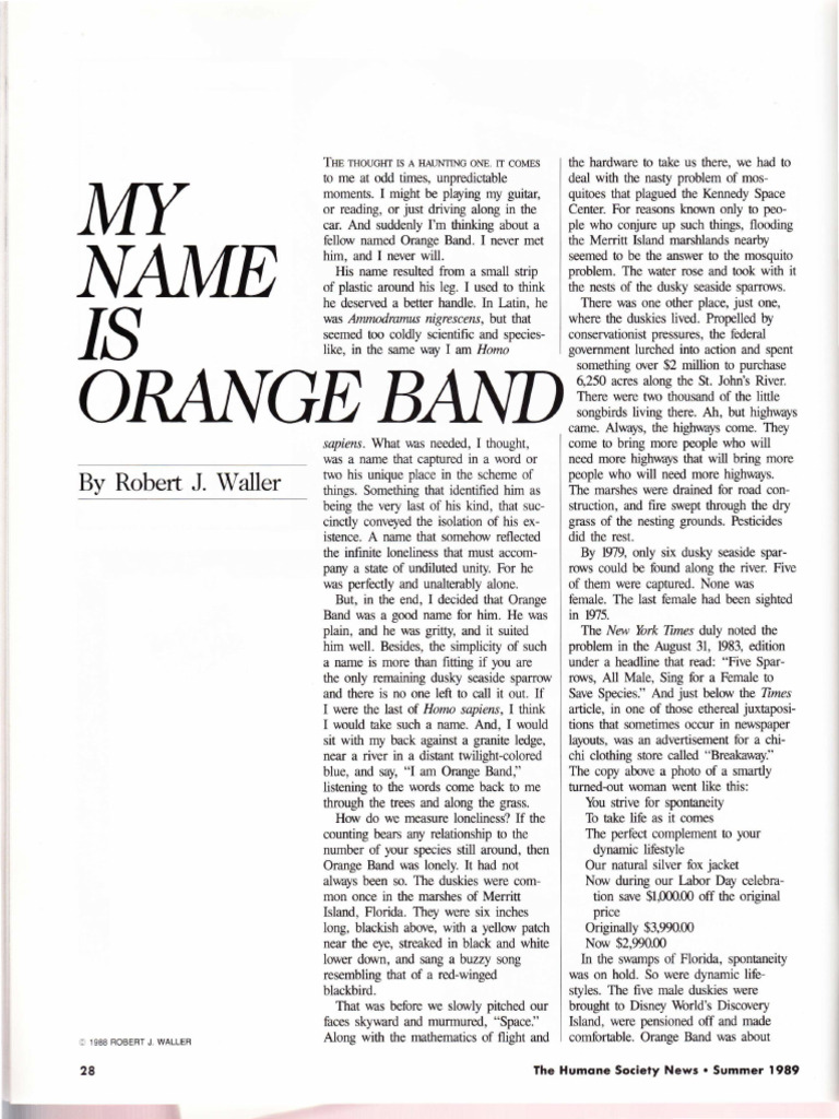 my-name-is-orange-band-pdf