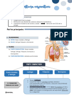 Sistema Respiratorio