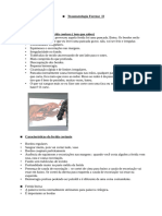 3) Traumatologia Forense II