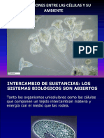 08 - Interacciones Entre Las Células y Su Ambiente - 2022 - Láminas
