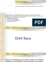 DNA Race