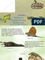 Reptiles VERTEBRADOS