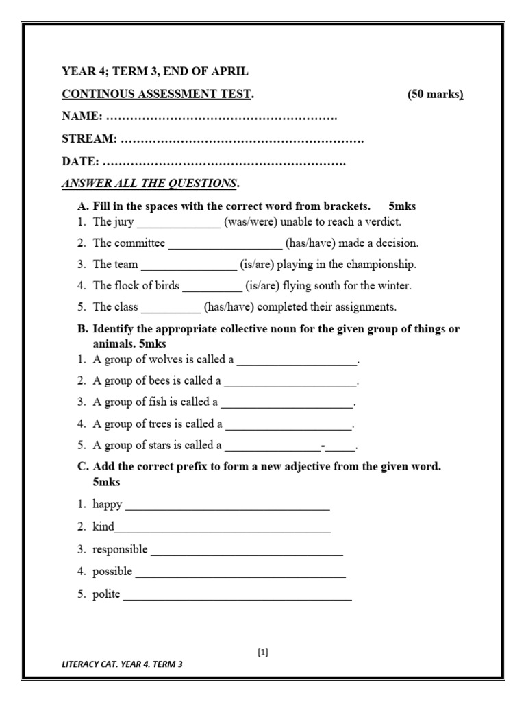 CAT TEST YEAR 4 SAMPLE PAPERS PDF visual data 4