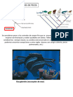 Generalidades de Peces. Primera Parte - Edit