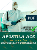 Apostila ACE