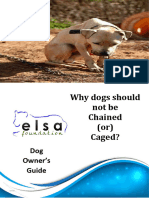 Elsa Dog Owners Guide 30 Oct 23