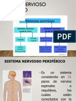 Sistema Nervioso Periferico