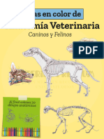 Atlas en Color de Anatomía Veterinaria Medivet Caninos y Felinos