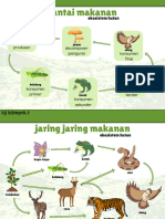 Ekosistem Hutan