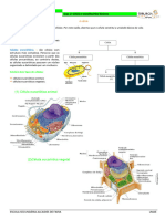 Célula e Constituintes Básicos - 10º Ano