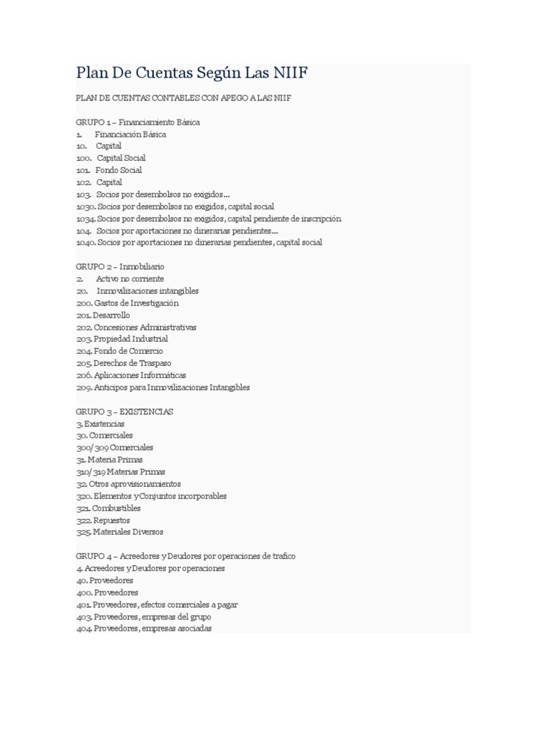Plan de Cuentas Según Las NIIF | PDF