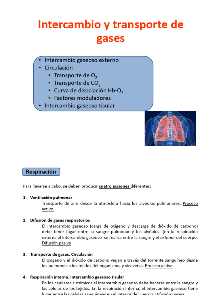Intercambio y Transporte de Gases Tisulares | PDF | Sistema ...