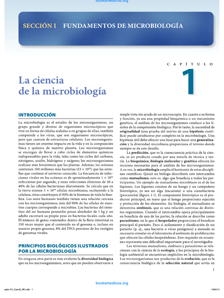 Microbiología, Clasificacion y Características de Los Microorganismos | PDF