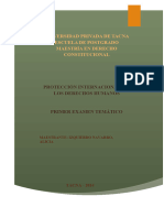 Examen de Protección Internacional de Los Herechos Humanos