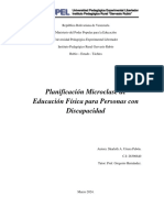 Planificacion Microclase PDF