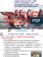 Sistemas Térmicos I - Ciclos de Potência - Ciclo Rankine - Pesquisa Aplicada - Tema 1