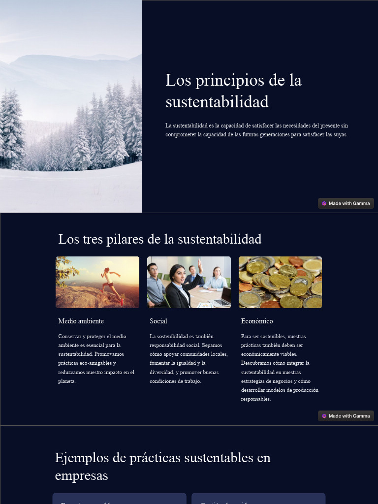 Principios de la Sustentabilidad | PDF | Sustentabilidad | Economía y ...