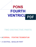 5 Pons New