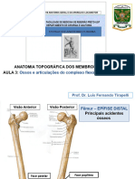 AULA 3 MEMBROS INFERIORES OSSOS DA PERNA E ARTICULAÇÃO DO JOELHO (3)