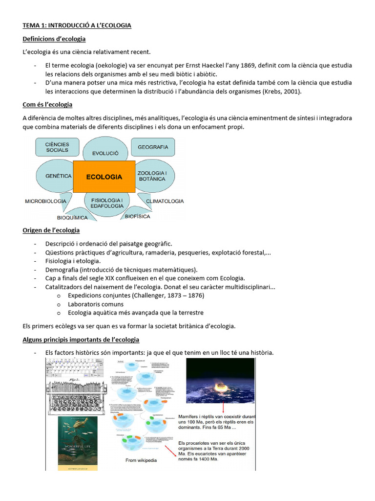 1r Parcial ECO | PDF