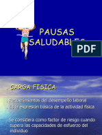 PAUSAS SALUDABLES - SV