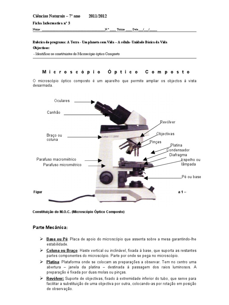 Partes e Funções do Microscópio Óptico | PDF | Lente (ótica) | Ótica