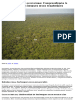 Preservar El Frágil Ecosistema - Comprendiendo La Importancia de Los Bosques Secos Ecuatoriales