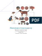 Патогенез токсокарозу