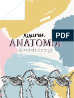 Anatomía_Resumen-vetstudentgt