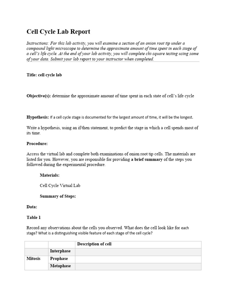 Onion Cell Cycle Lab Analysis | PDF | Mitosis | Chi Squared Test