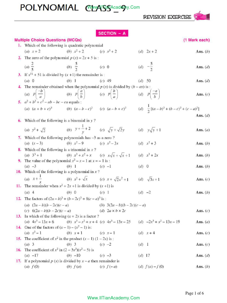 9th Polynomial Test Paper-9 | PDF | Business