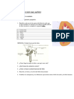 Estefania Acevedo - Cuestiones A Resolver Sobre Las Disecciones