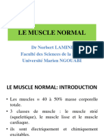 Le Muscle Normal