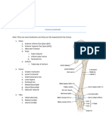 Checklist - Gluteal Region