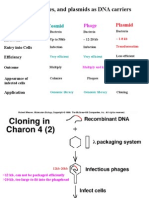 Cosmids, Phages, and Plasmids As DNA Carriers: Cosmid