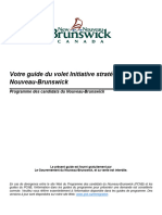 012-strategic_initiative_guide-f (1)