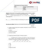 Examen - IP - 2023 A