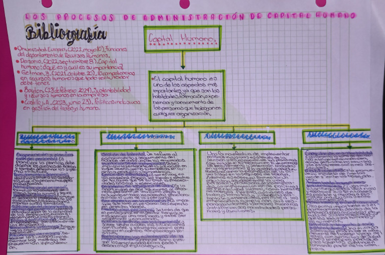 Capital Humano | PDF