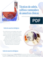 Coleta e Semeadura Identificação Bioquímica Antibiograma