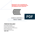 Info Fisica 11 COMPLETO 2