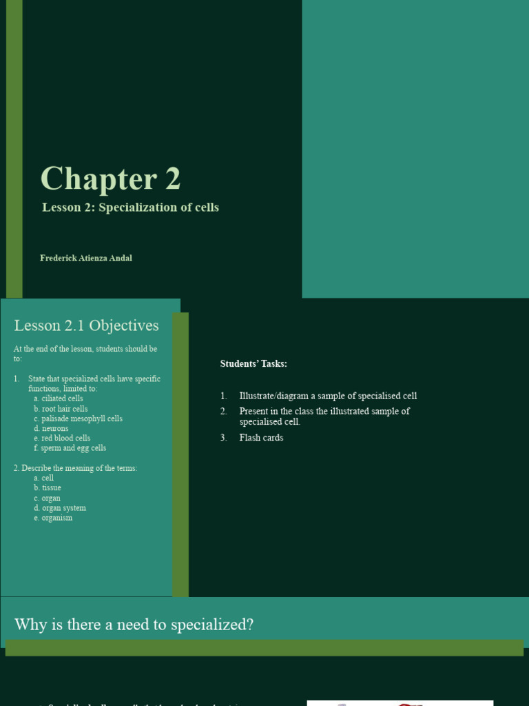 Chapter 2 Lesson 2 Specialization Of Cell Pdf Cell Biology