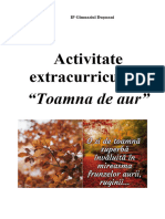 Scenariul Activității Toamna de Aur